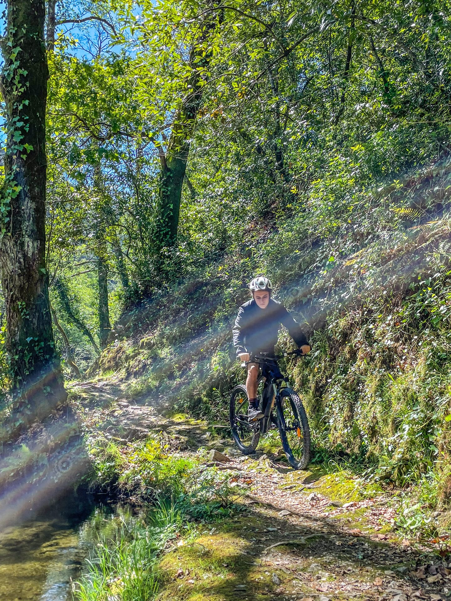 Pessoa de bicicleta elétrica num caminho arborizado